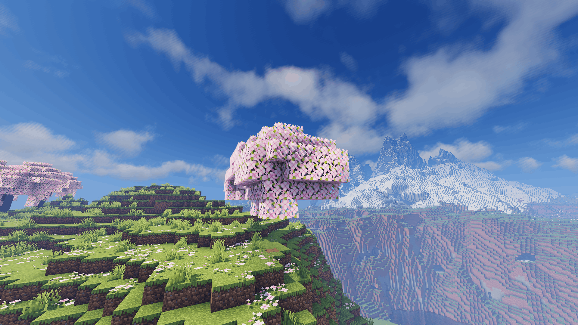 2026-08-11_17.02.10.png