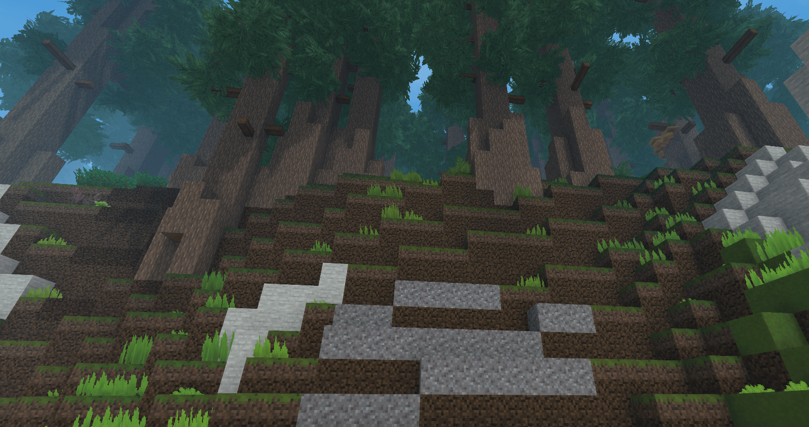 forest.png