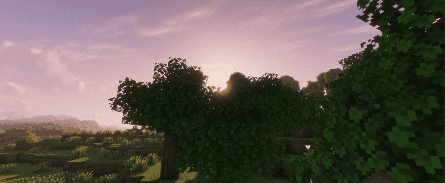 2026-08-11_18.00.10_optimized_2000.png