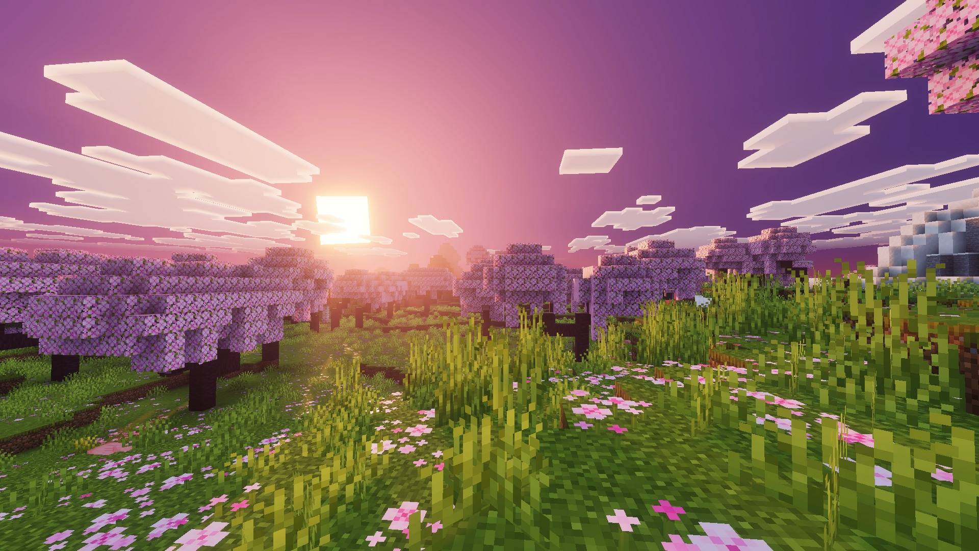 Hydra Visuals thumbnail 12