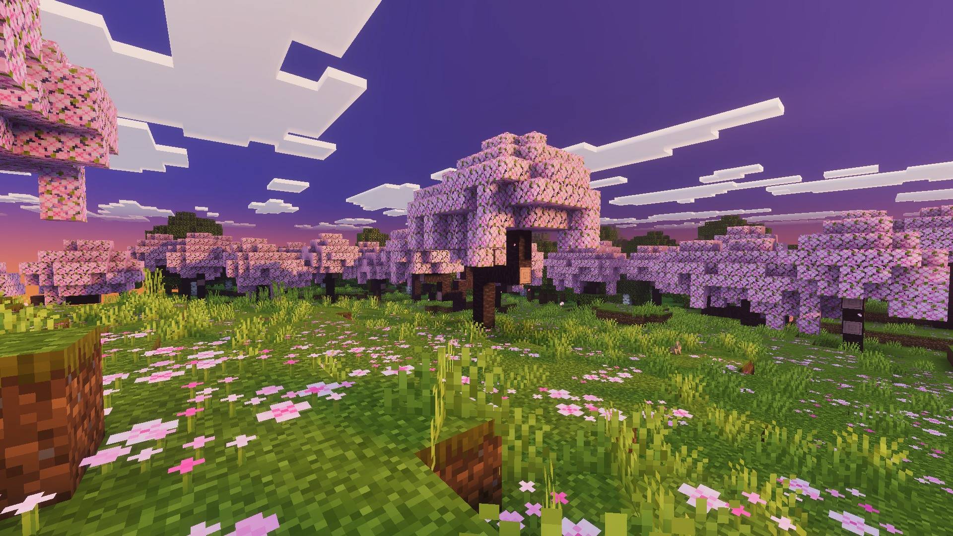 Hydra Visuals thumbnail 11
