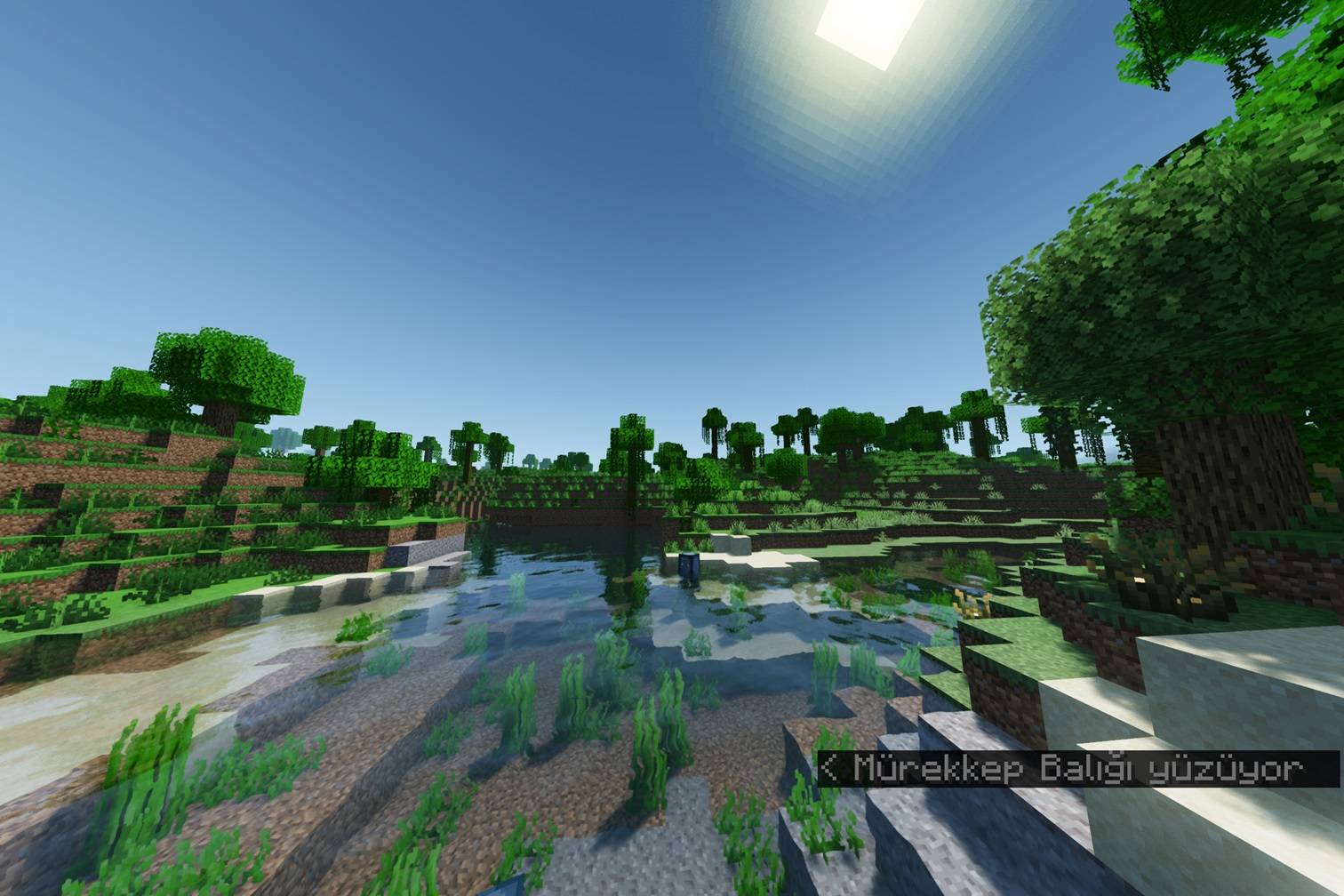 MrAxolots shader — screenshot 1