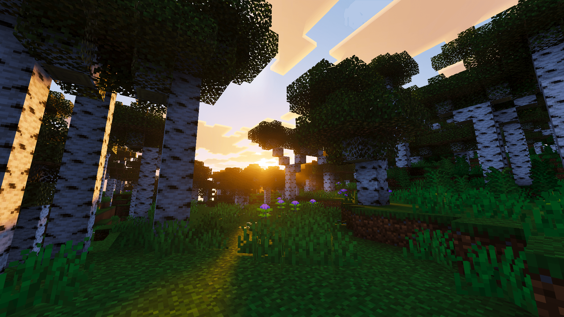 Velmora Visuals thumbnail 6