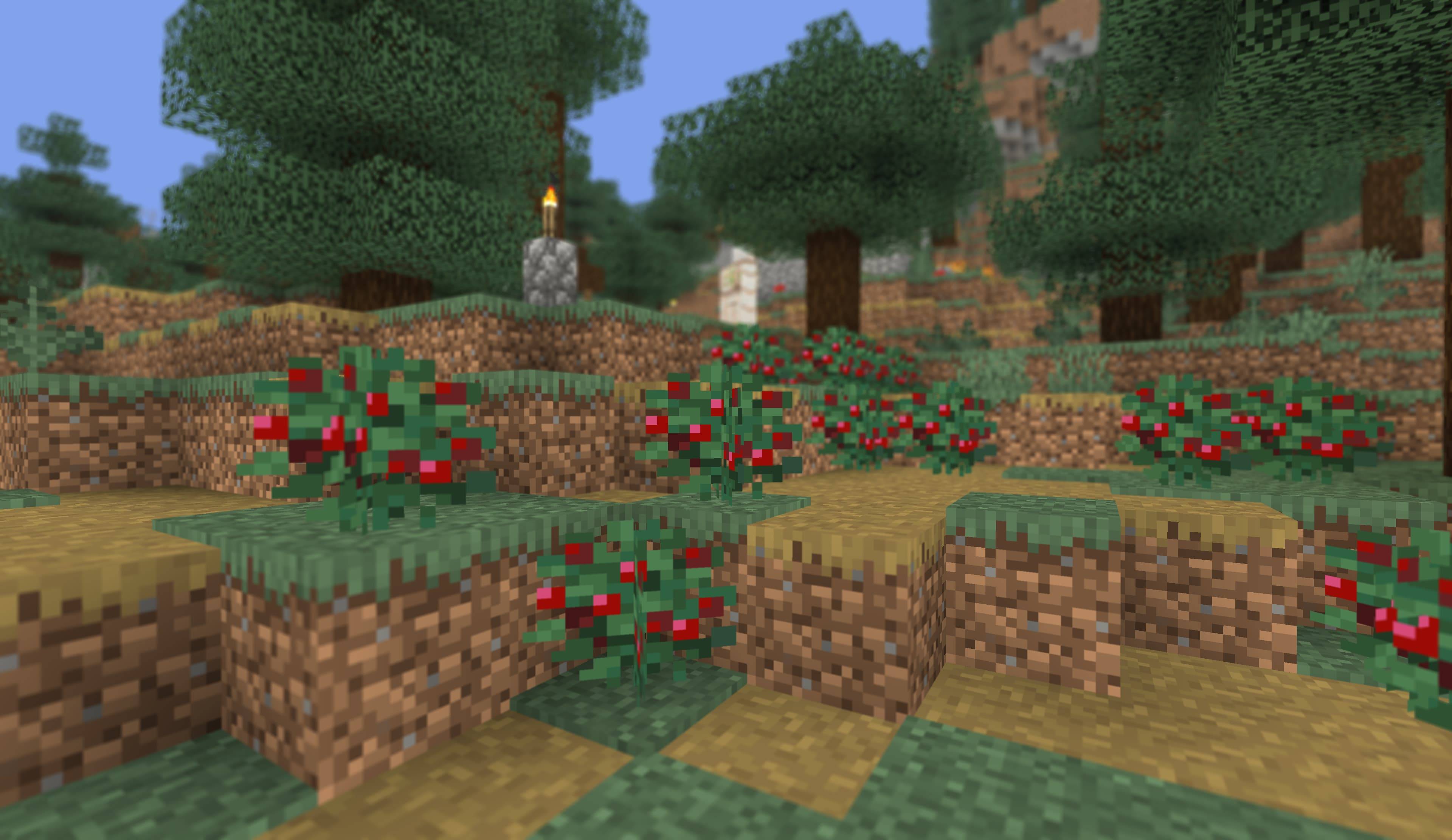 Vanilla Camera - Focus,CT & — screenshot 4