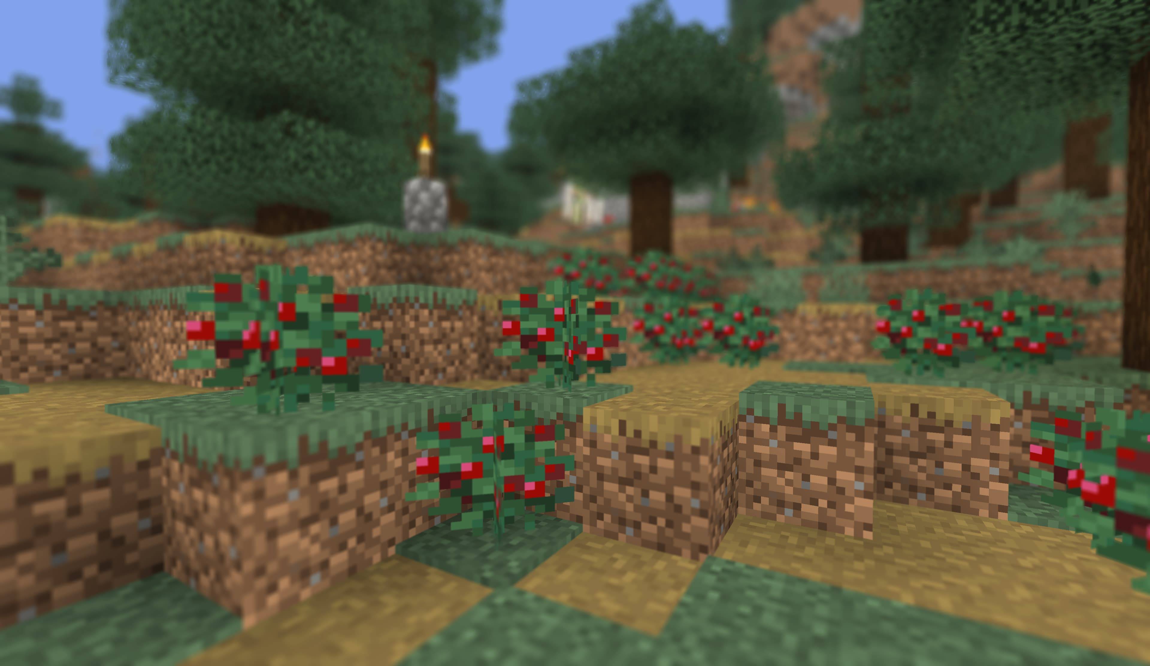 Vanilla Camera - Focus,CT & — screenshot 3