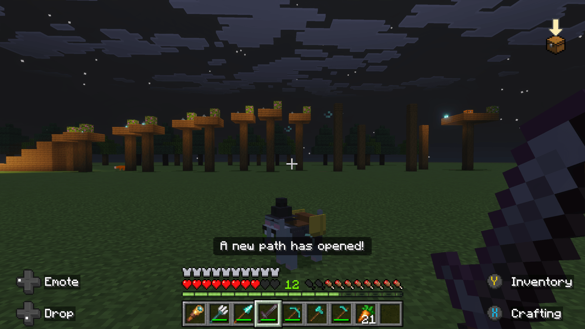 Cat Haven — screenshot 4