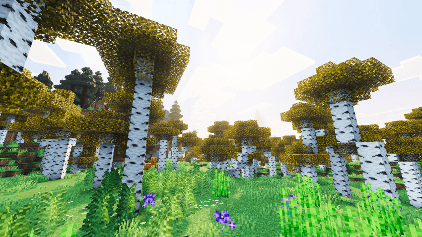 PureTone Visuals thumbnail 4