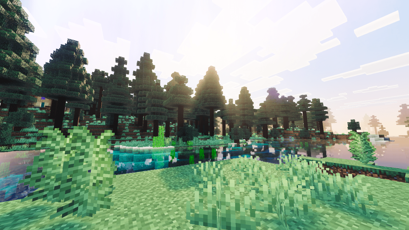 PureTone Visuals thumbnail 6