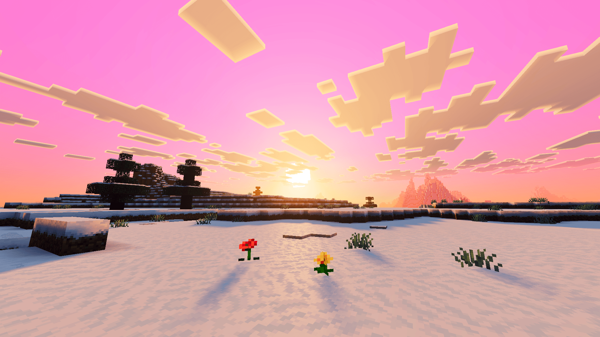 PureTone Visuals thumbnail 5