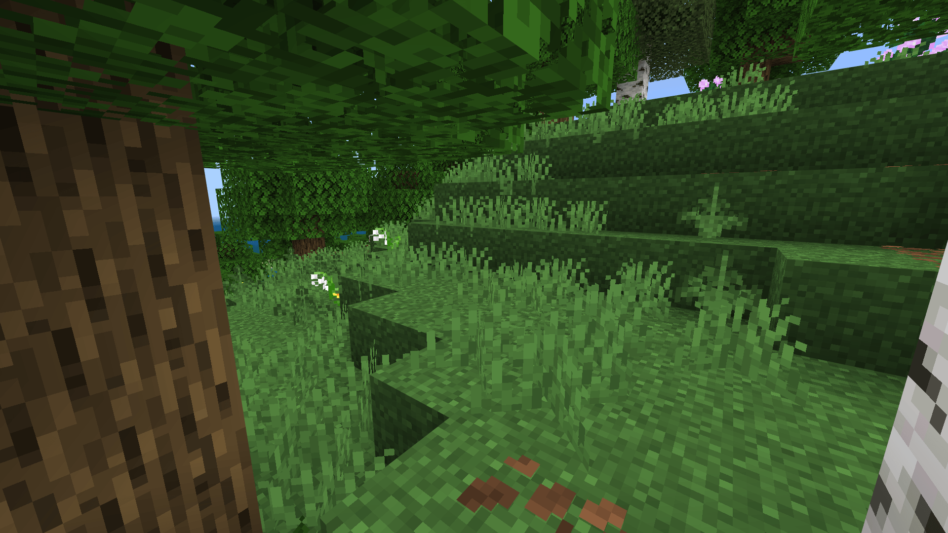 Full Grass | Fast Grass thumbnail 3