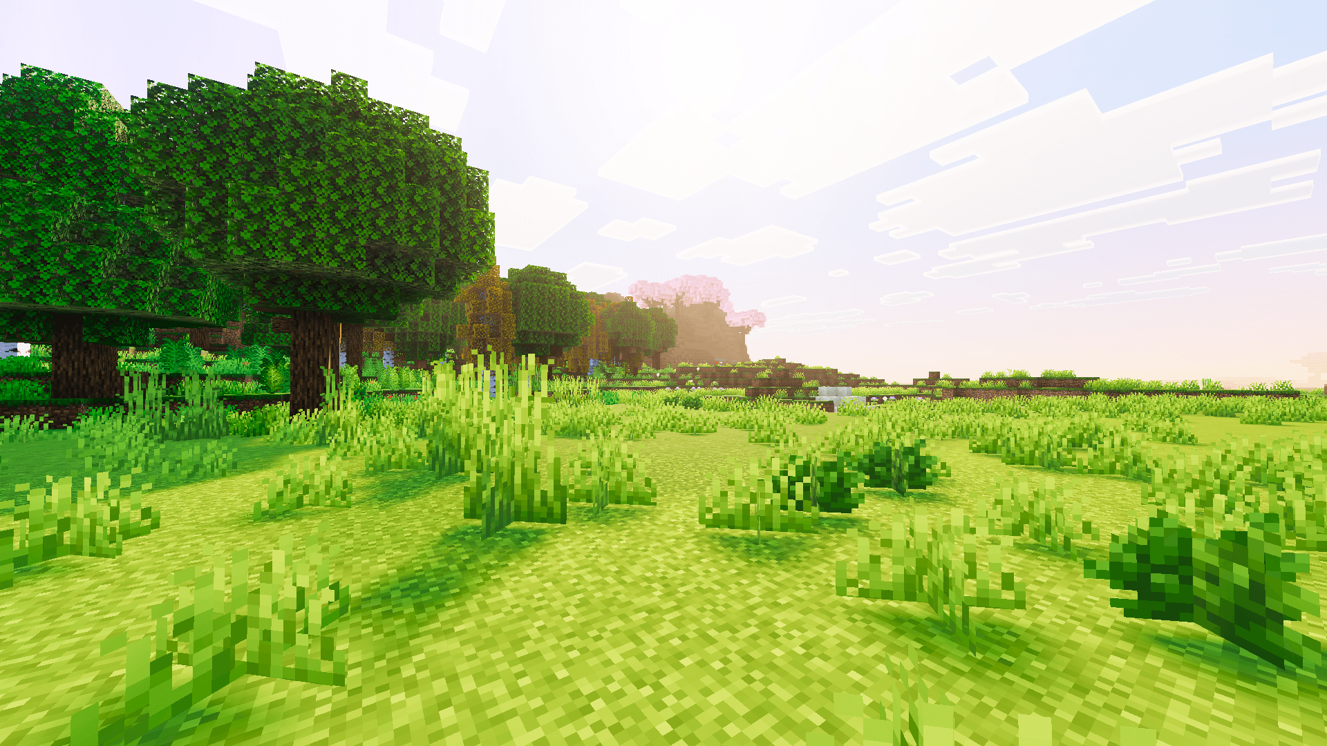 Basic Visuals thumbnail 4