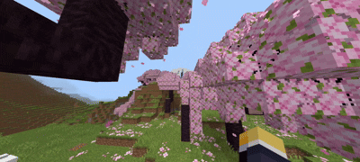 Screen_Recording_20260814_144901_Minecraft.gif