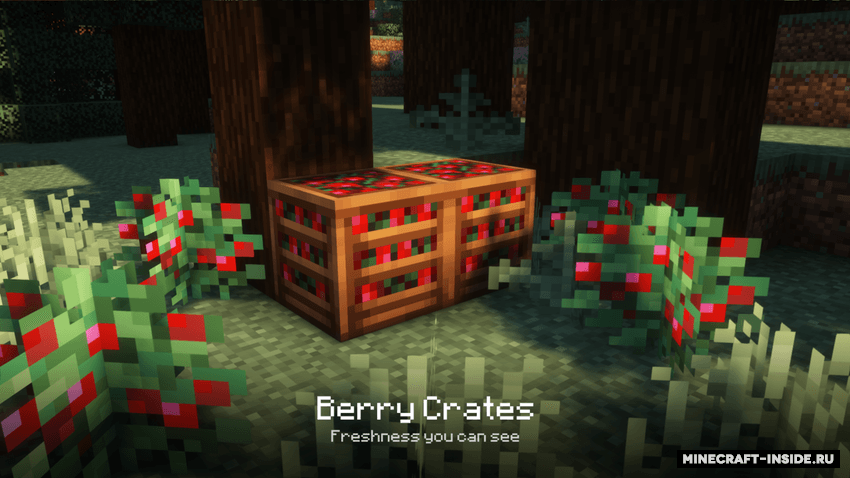 Crate Delight — screenshot 4