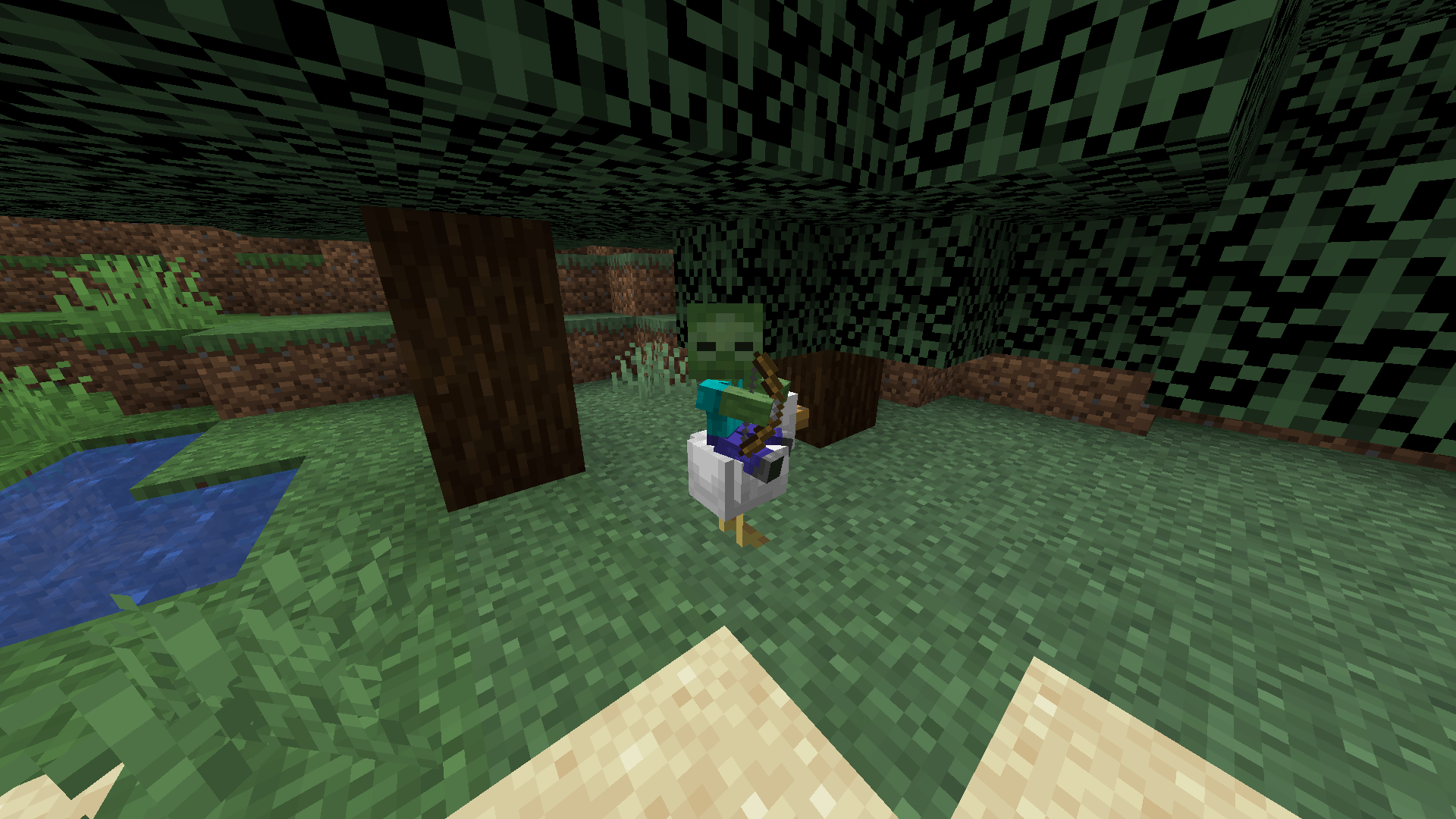 Chicken Jocky with a bow