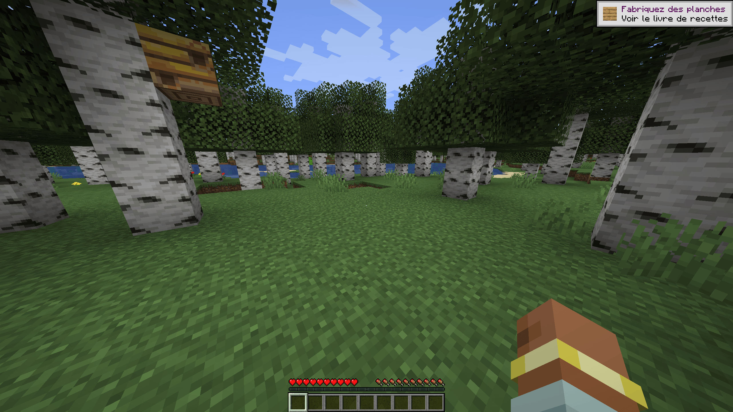 Thumbnail The dot crosshair during PvP combat.