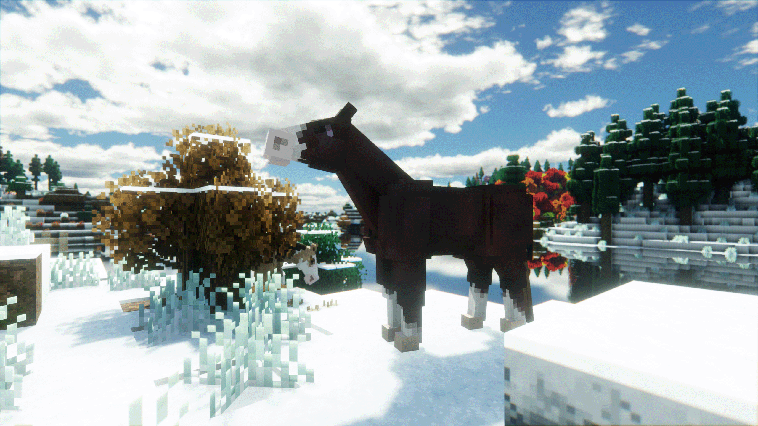 SWEM Horses
