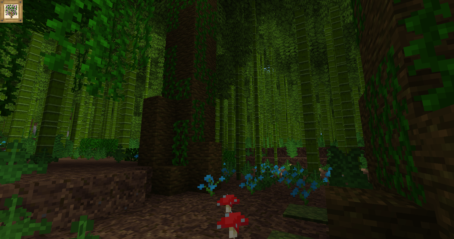 Peering out into the forest of giant bamboo that colonizes the Bamboo Jungle, the understory in front is clear from the shade as orchids grow in the foreground.