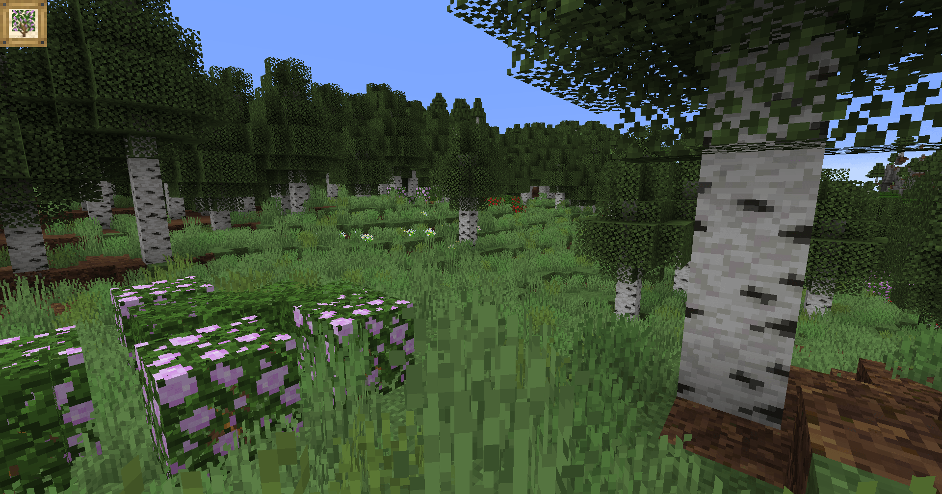 Thumbnail In the open Birch Forest, a grassy clearing contains several flower patches, including a patch of nearby peony bushes.