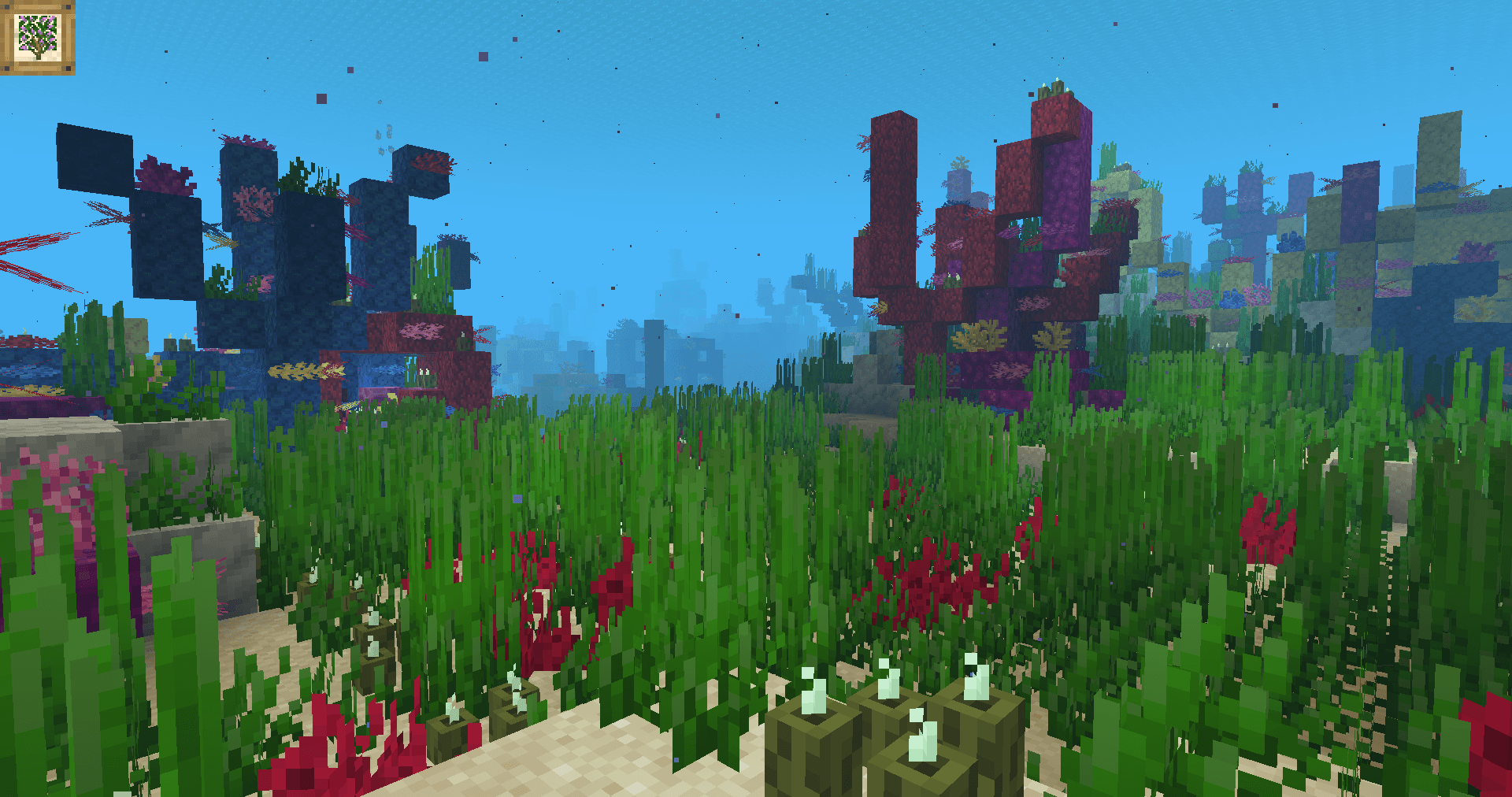 Thumbnail A meadow of seagrass in the middle of a coral reef in a Warm Ocean.