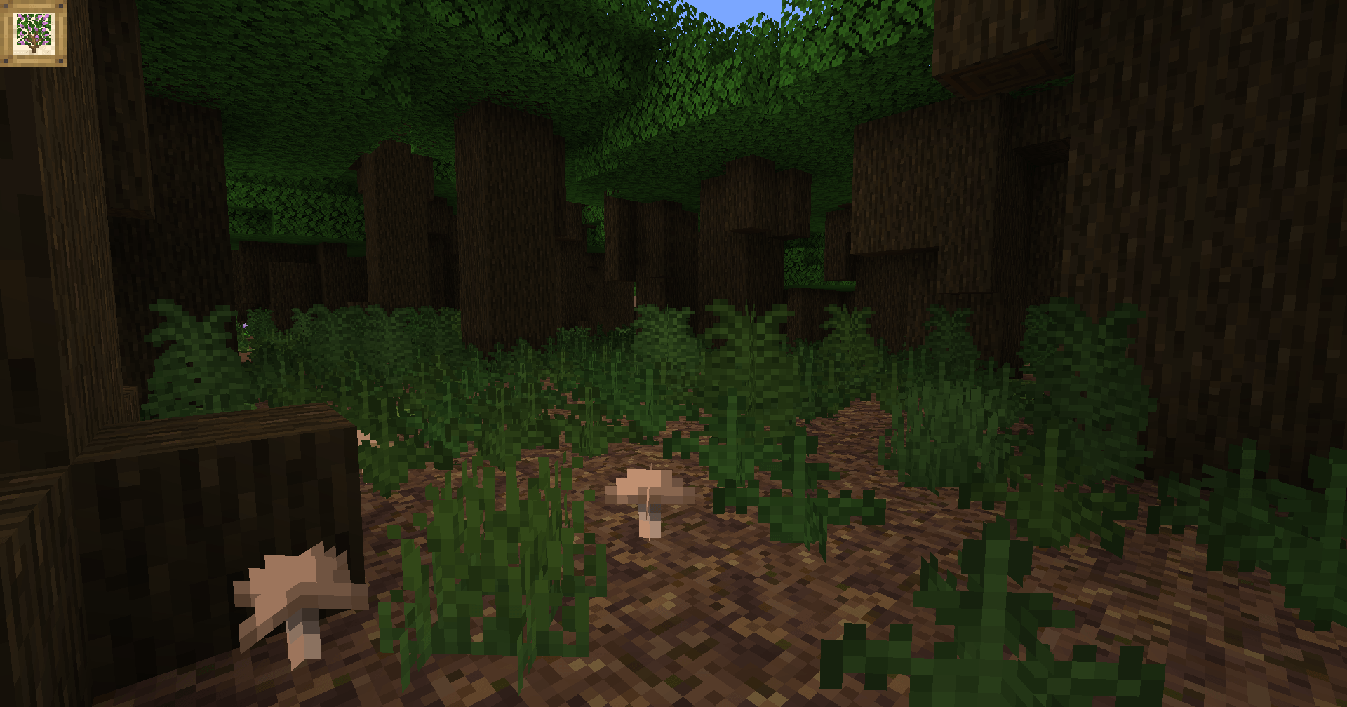 Thumbnail A fern-filled clearing in the vegetation-filled Dark Forest.