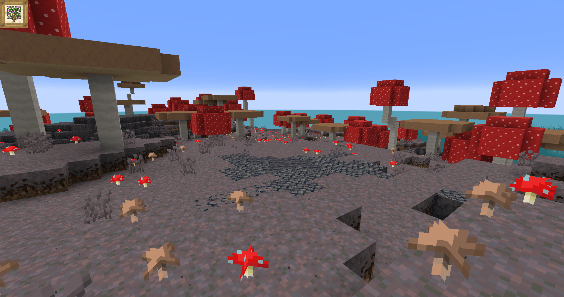 On an island in the middle of a coral reef, mushrooms have started colonizing the basaltic cliffs and sand.