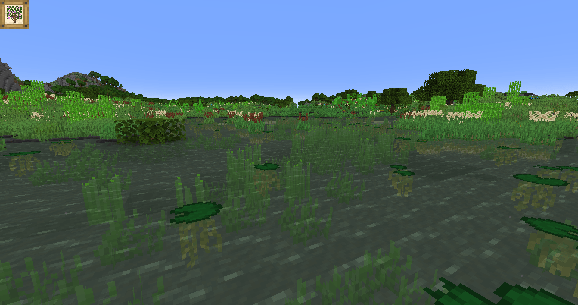 Thumbnail In the middle of a large swamp, a murky pool is ringed by thriving rushbeds and stands of sugarcane, the wet environs supporting dense growth.