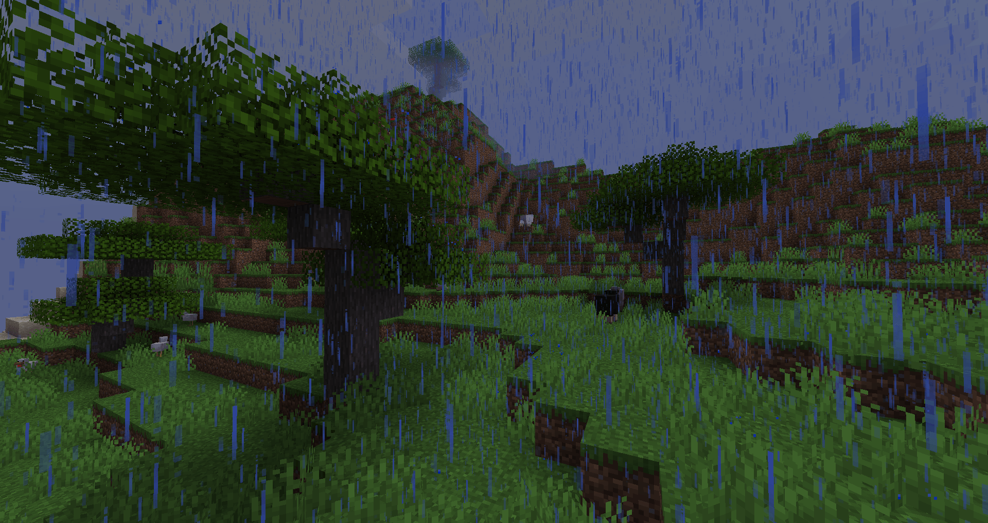 Savanna raining in wet season.