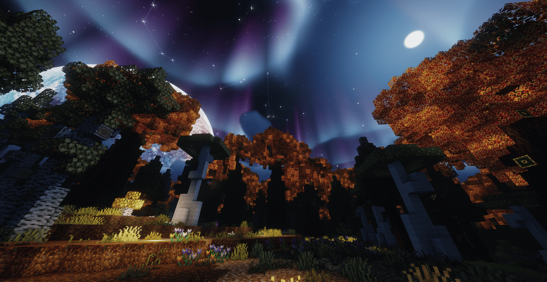 Thumbnail Magic Forest.png
