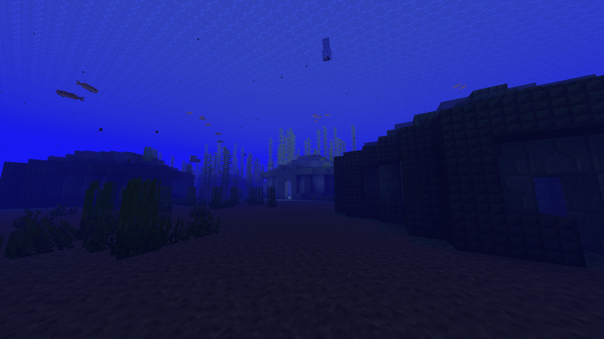 Screenshot 2026-08-17 055651.png