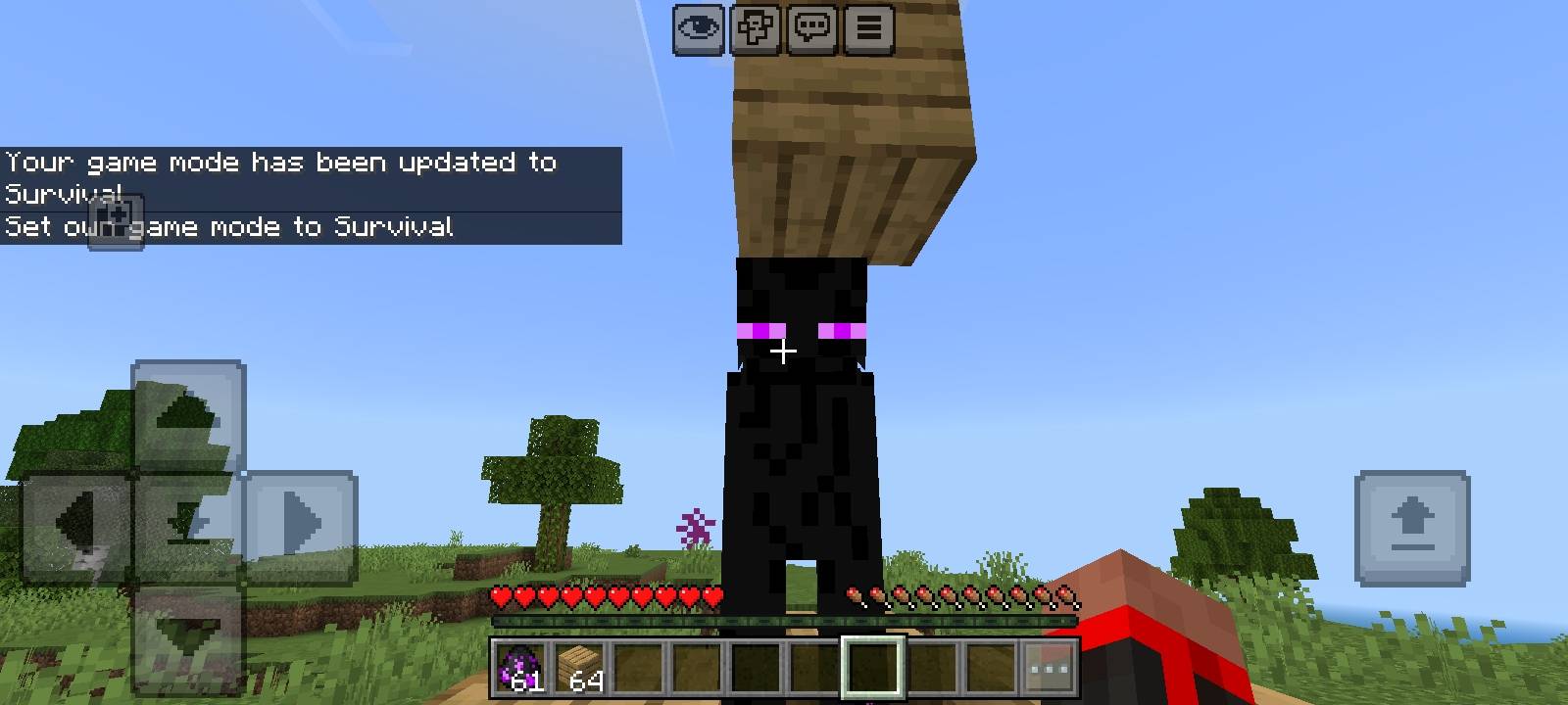 Pumpkin Clarity — screenshot 1