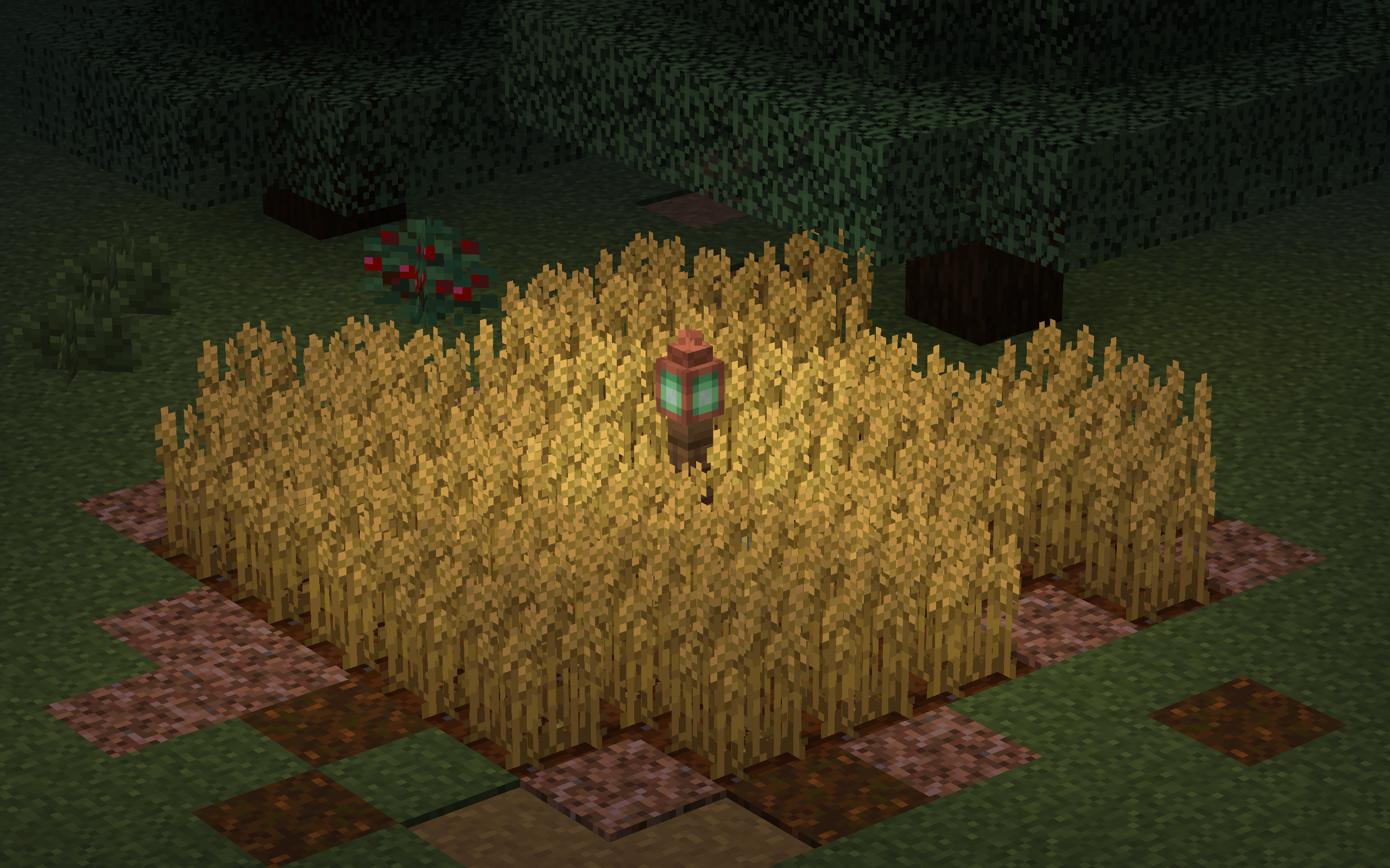 Thumbnail Showcase of a tiny wheat field