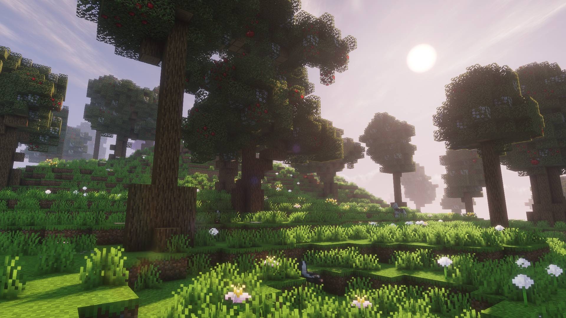 Thumbnail oh the biomes we've gone.jpg