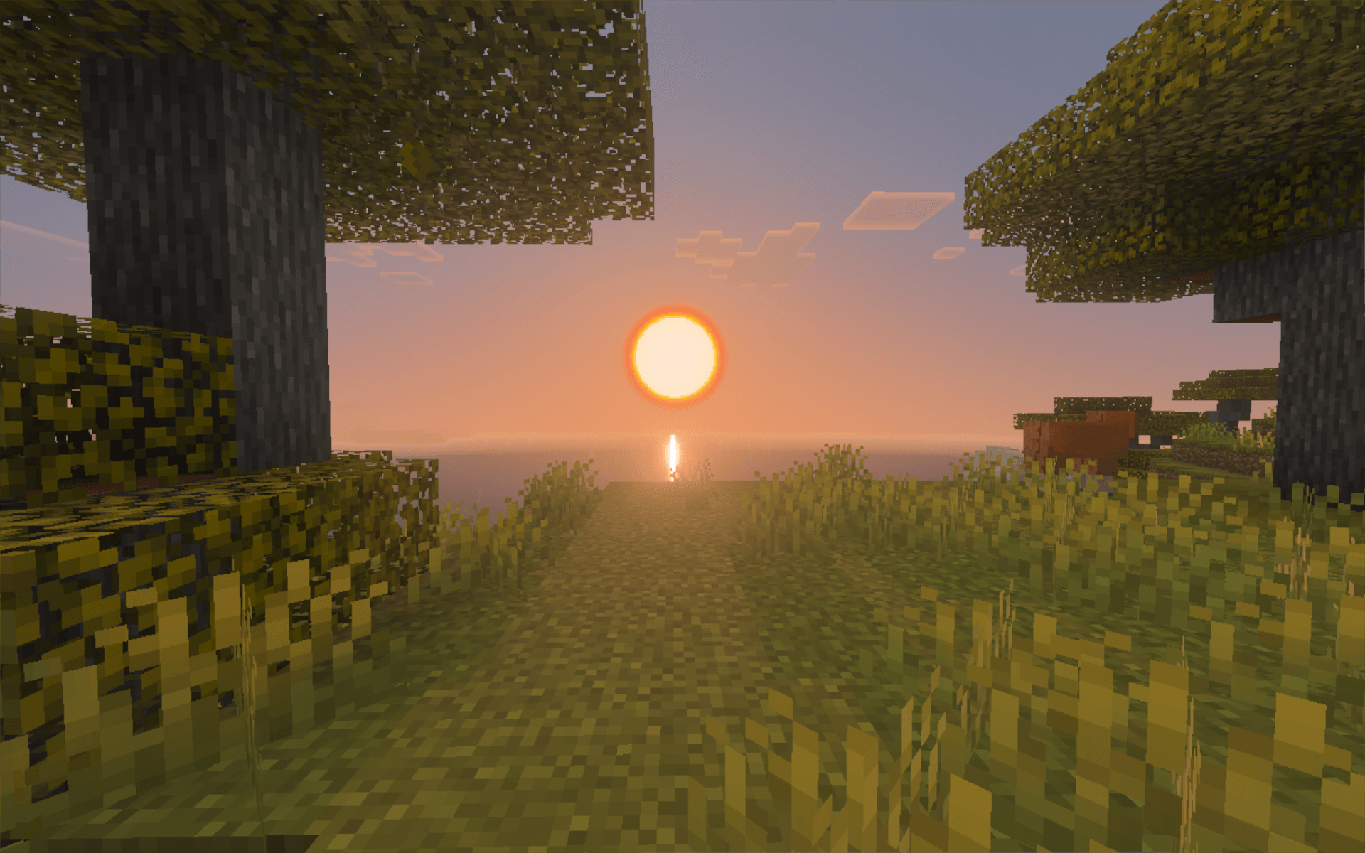 Truesky — screenshot 5