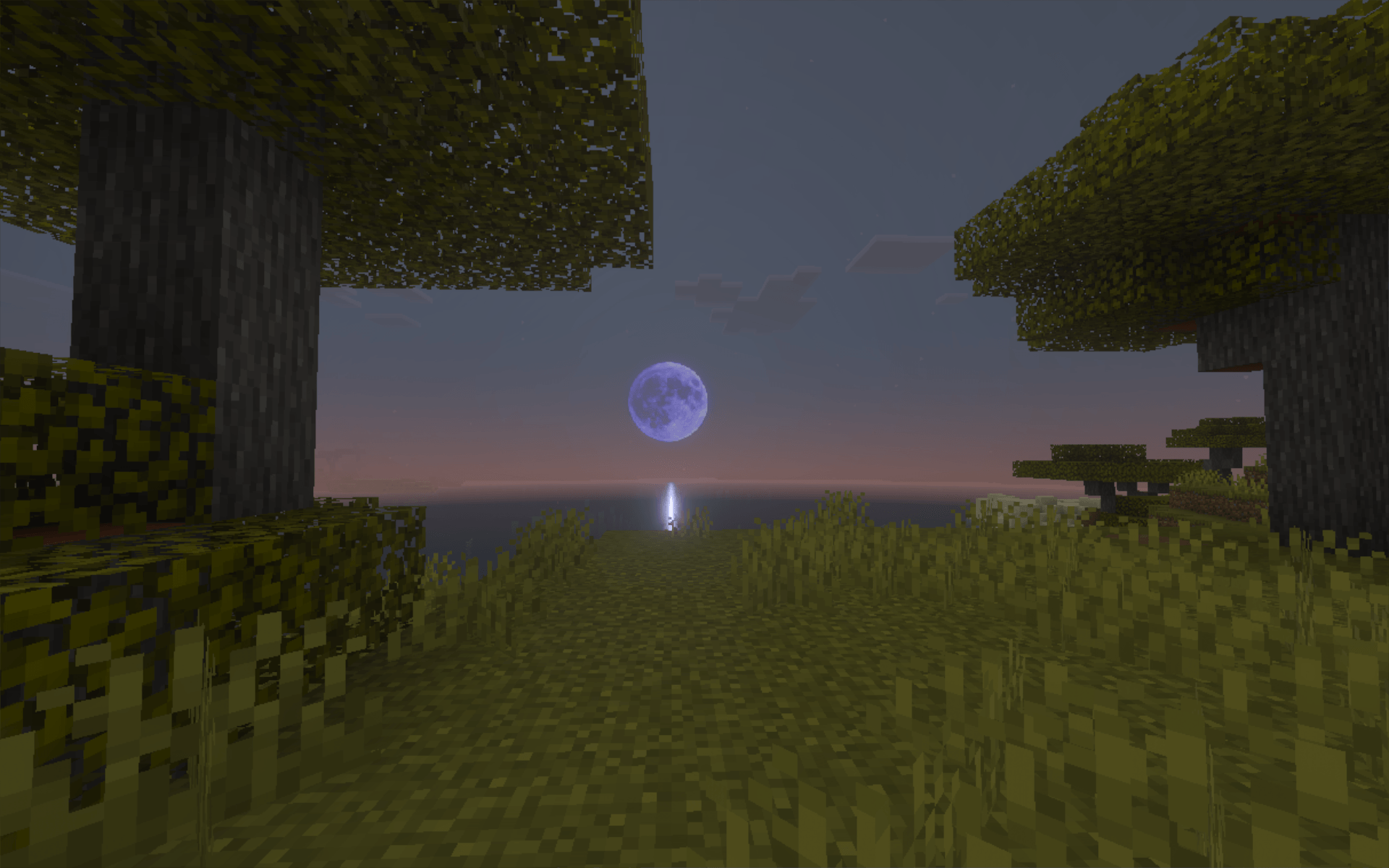 Truesky — screenshot 3