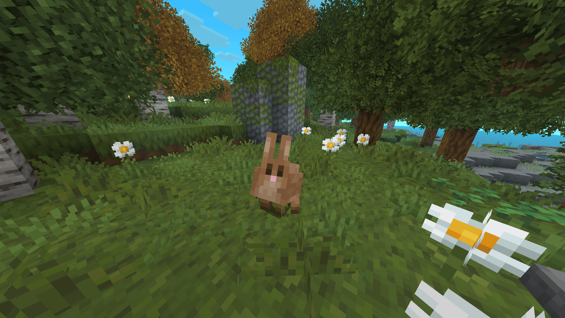 Rabbit