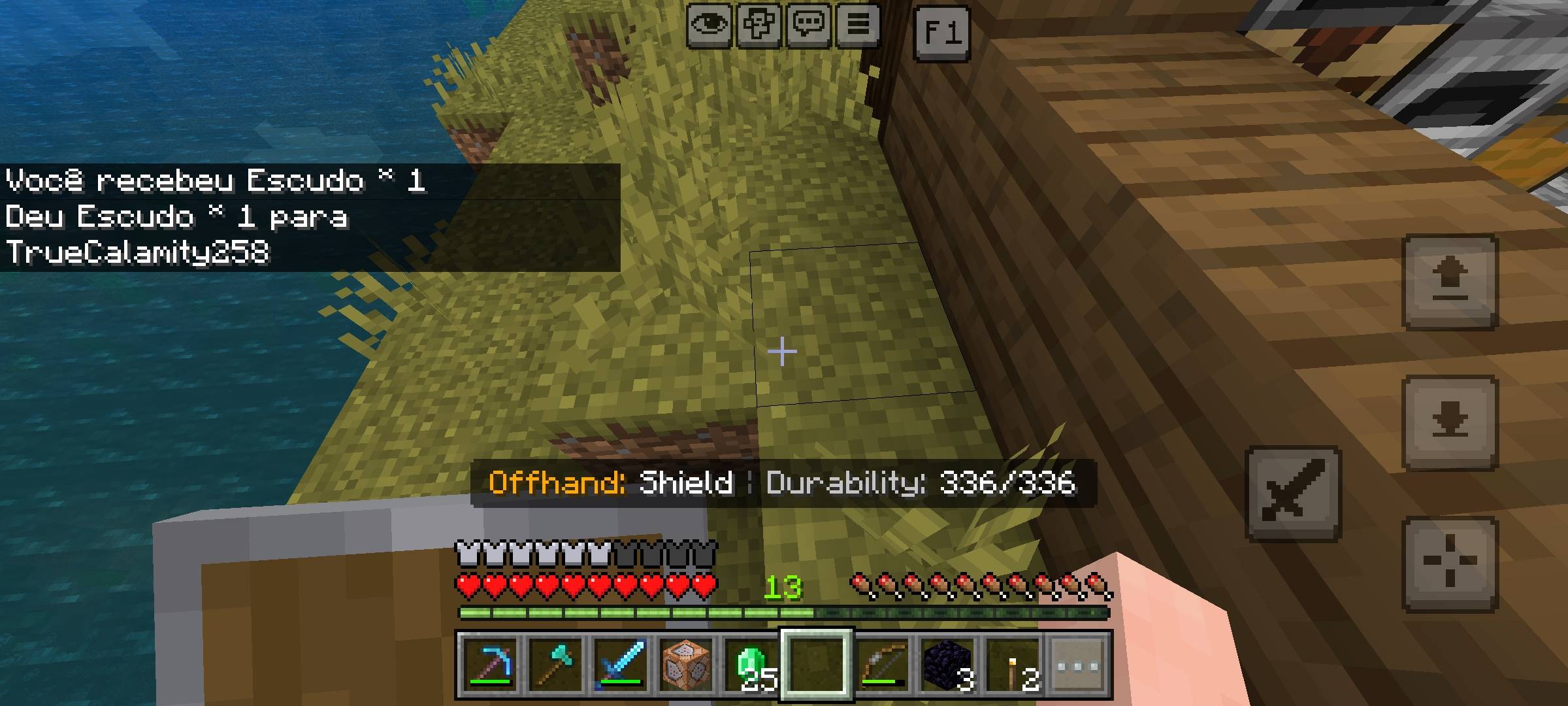 Evil's Offhand Info — screenshot 2