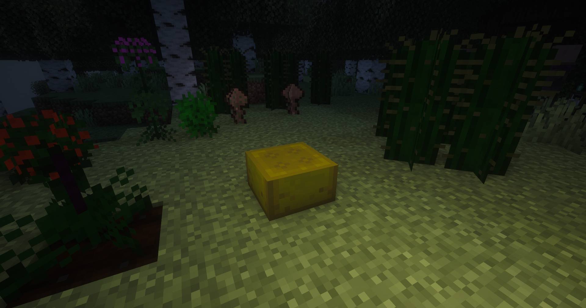 Thumbnail pic5.jpg