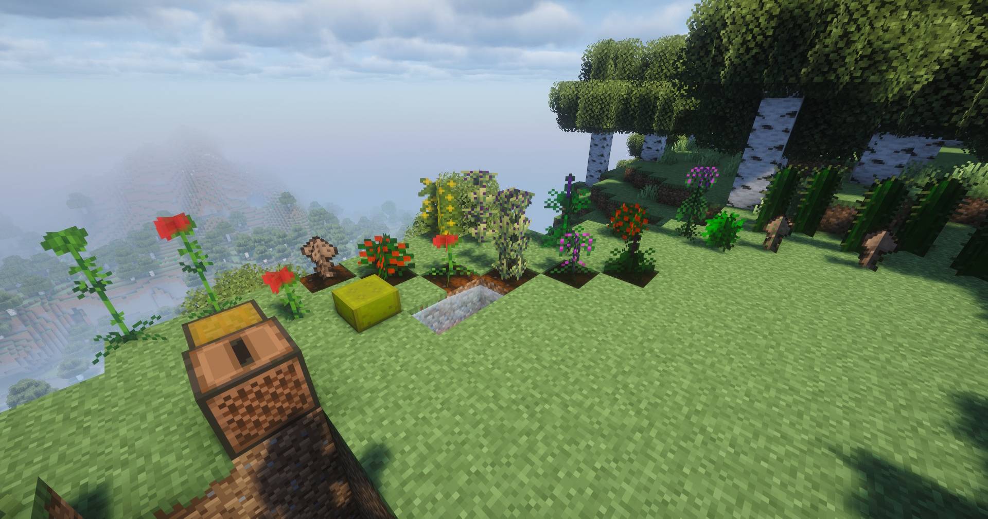 Thumbnail pic1.jpg