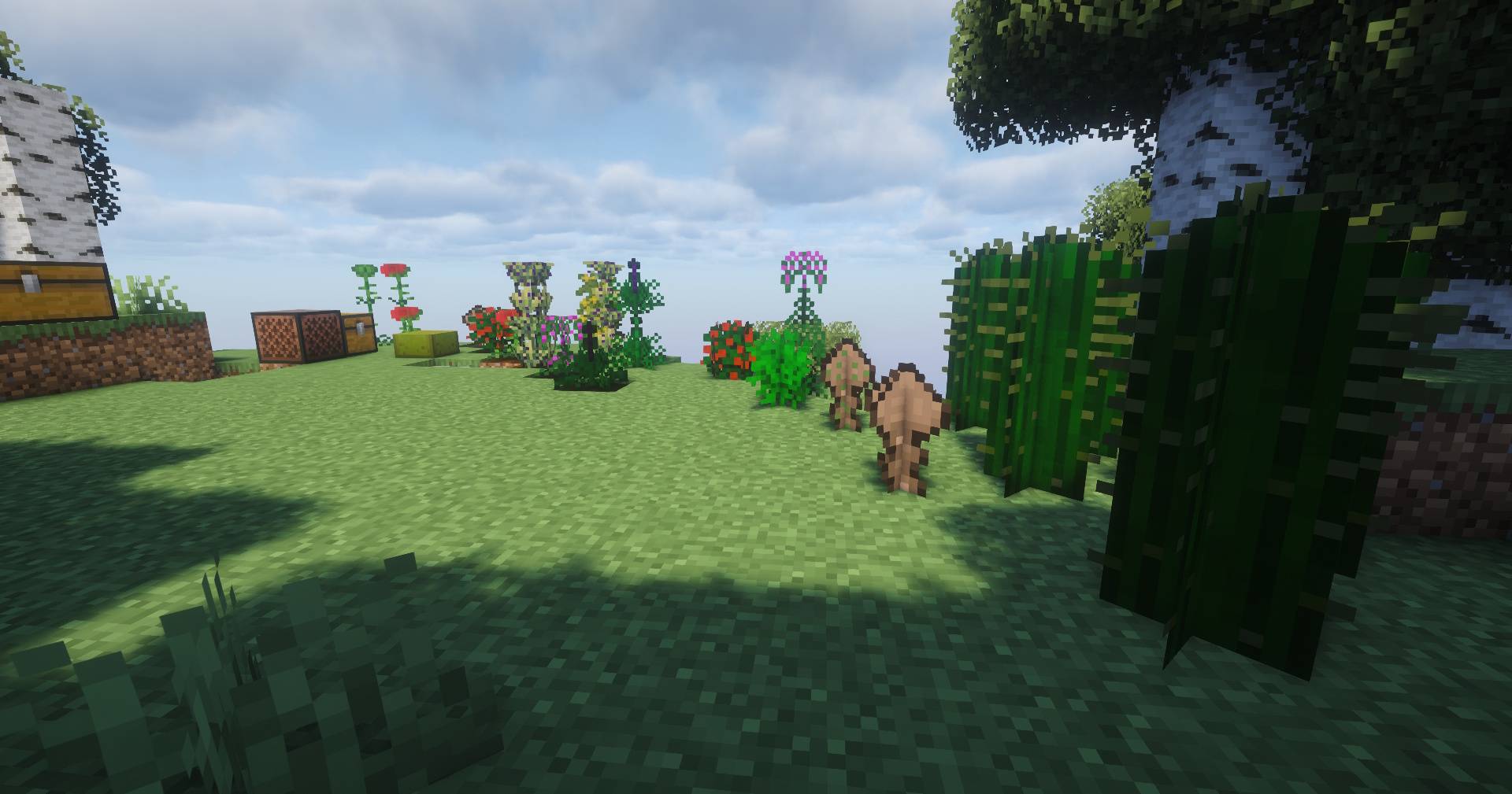 Thumbnail pic2.jpg