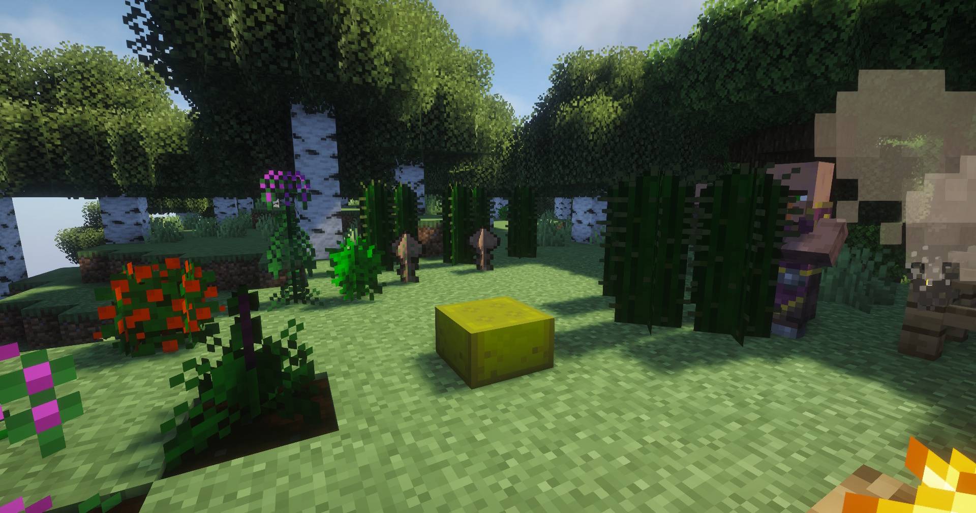 Thumbnail pic4.jpg