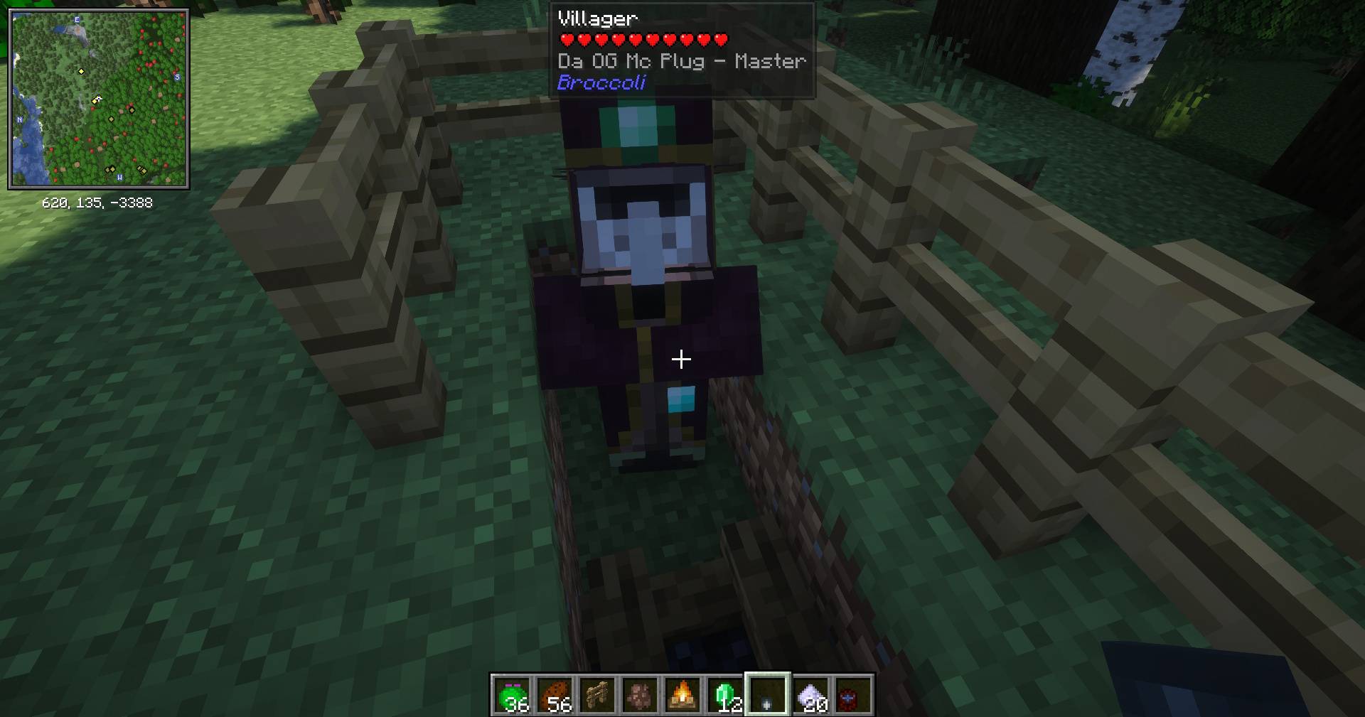 Thumbnail villager1.jpg