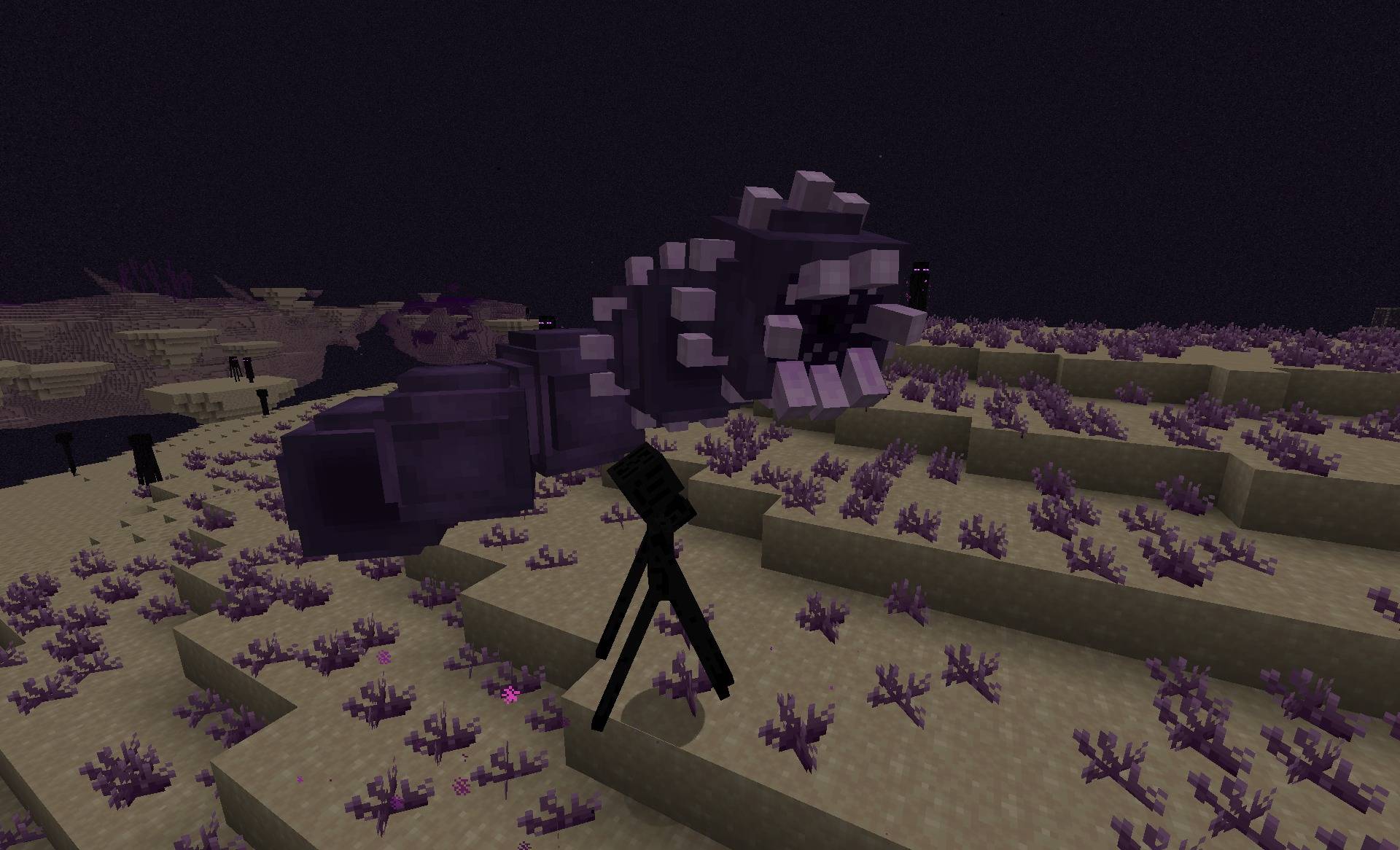 Thumbnail actuallycompressed_enderworm.jpg