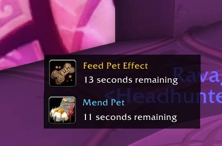 BeastCare-mendpet&feedbuff.jpg