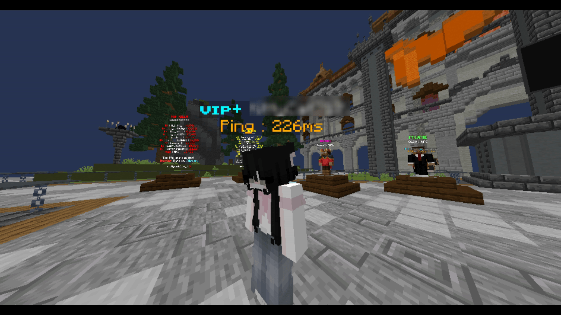 ping \ 2