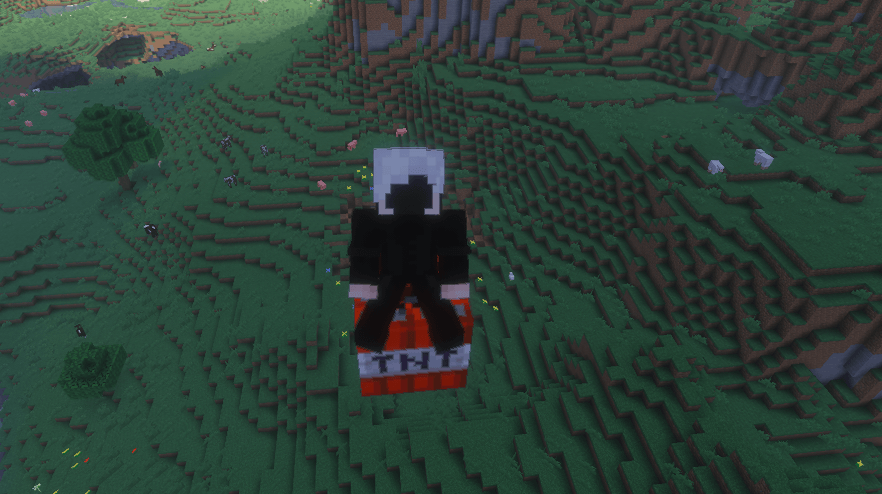 Saddle a block of TNT and take it for a flight