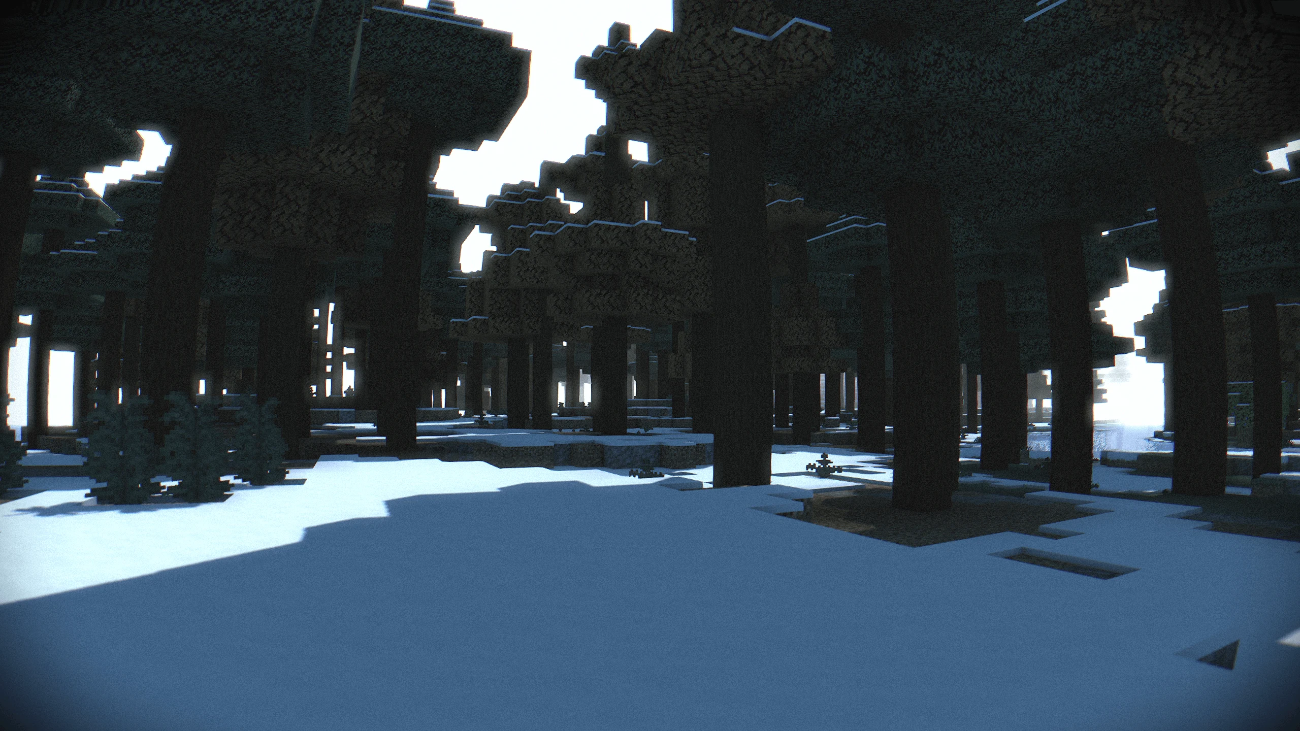 With Body Camera Shader