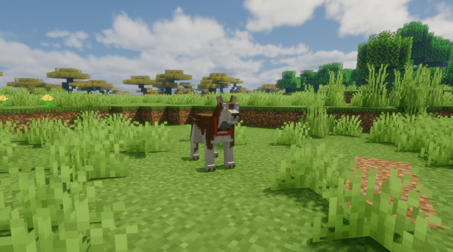 Minecraft NeoForge_ 1.21.1 - Um jogador 18_08_2026 19_39_07.png