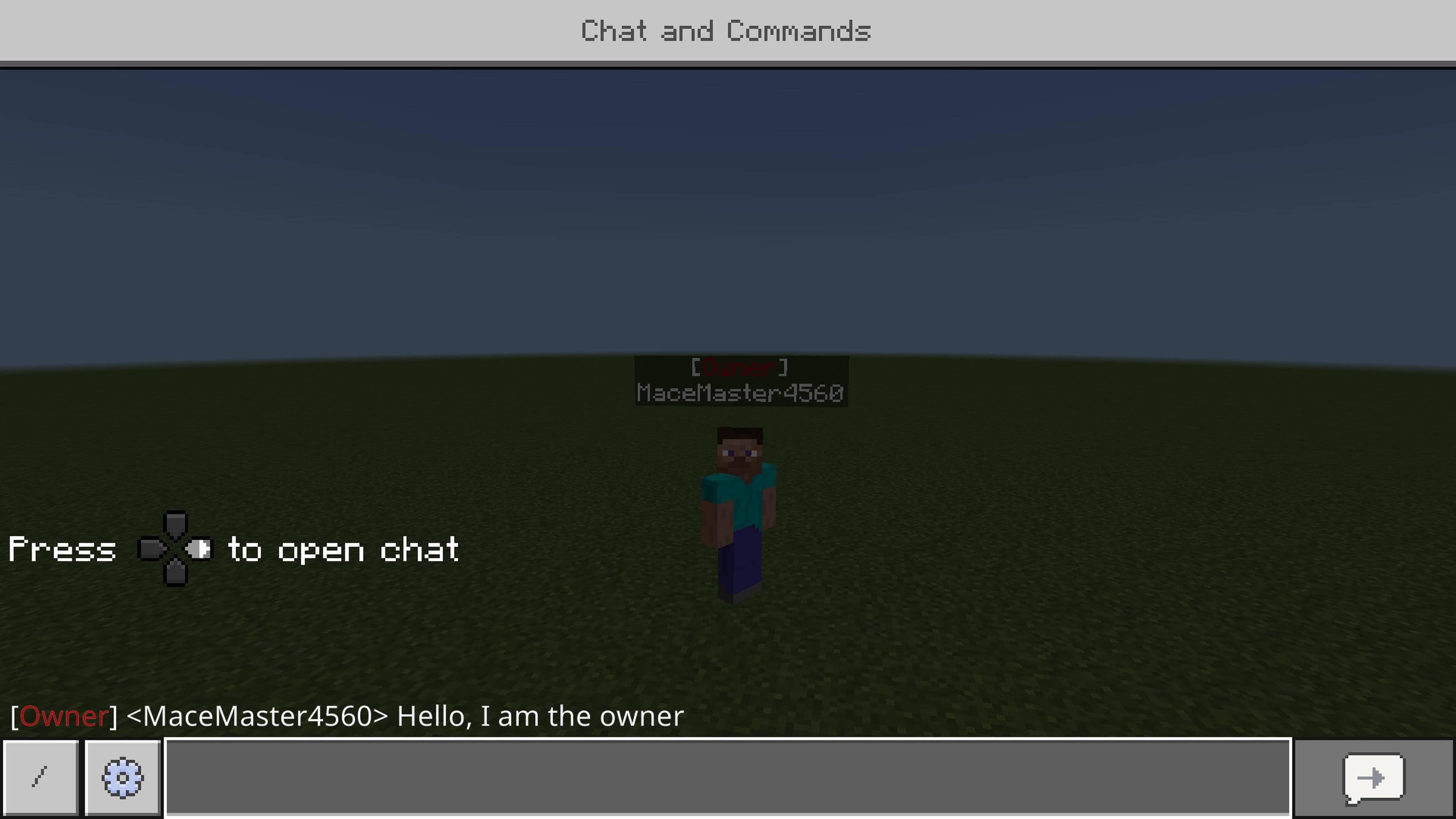 Rank Showing In Chat