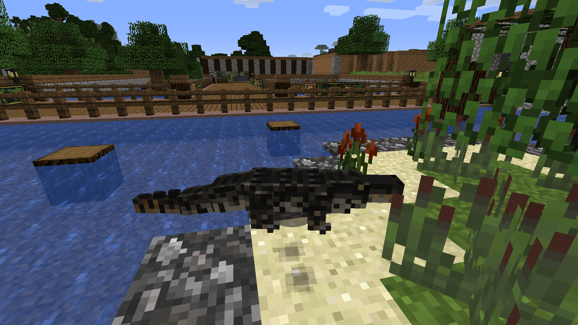Thumbnail Cuban Crocodile