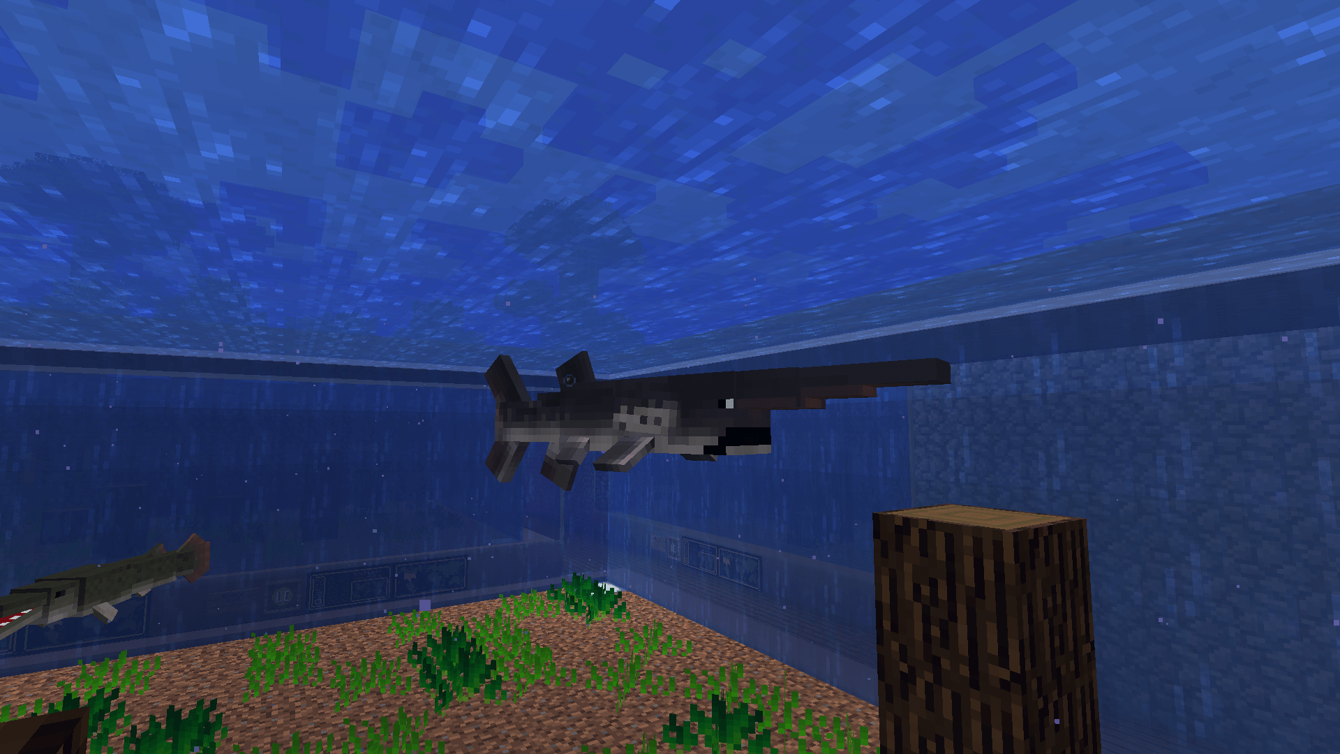 Thumbnail American Paddlefish
